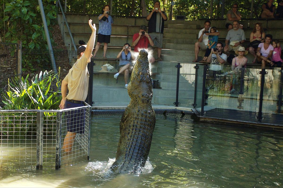 Hartleys Crocodile Adventures