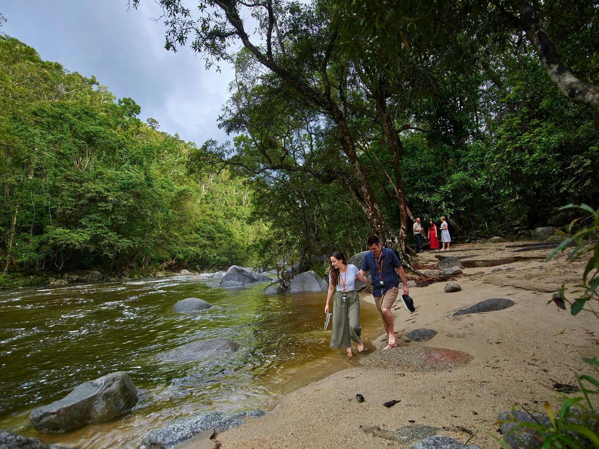 Cape Tribulation, Daintree and Mossman Gorge
