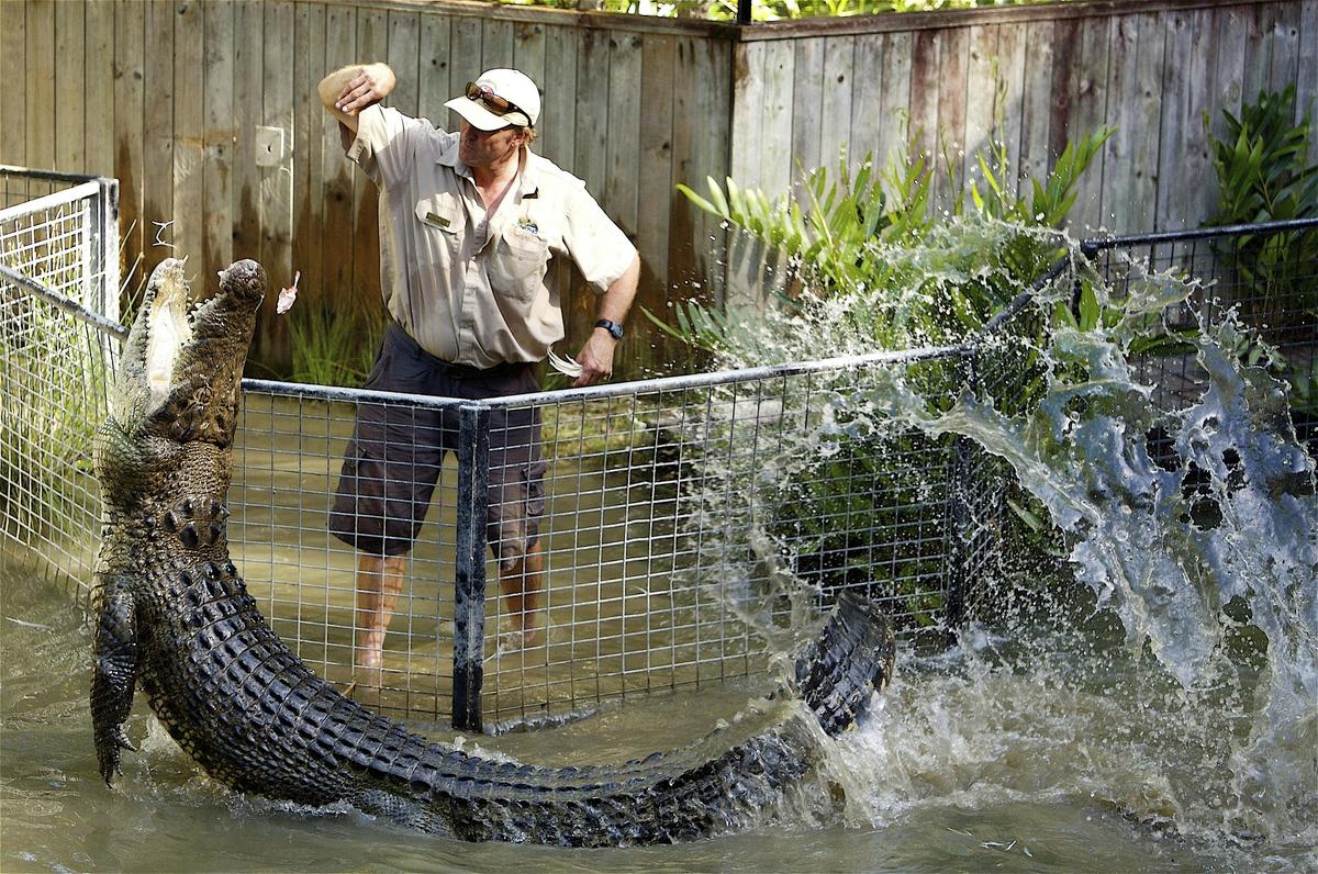 Kuranda Rail, Skyrail and Hartley's Crocodile Adventures