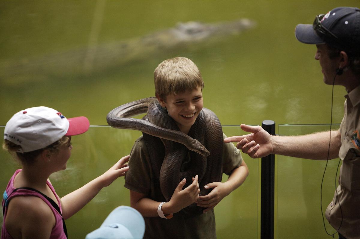 Kuranda Rail, Skyrail and Hartley's Crocodile Adventures
