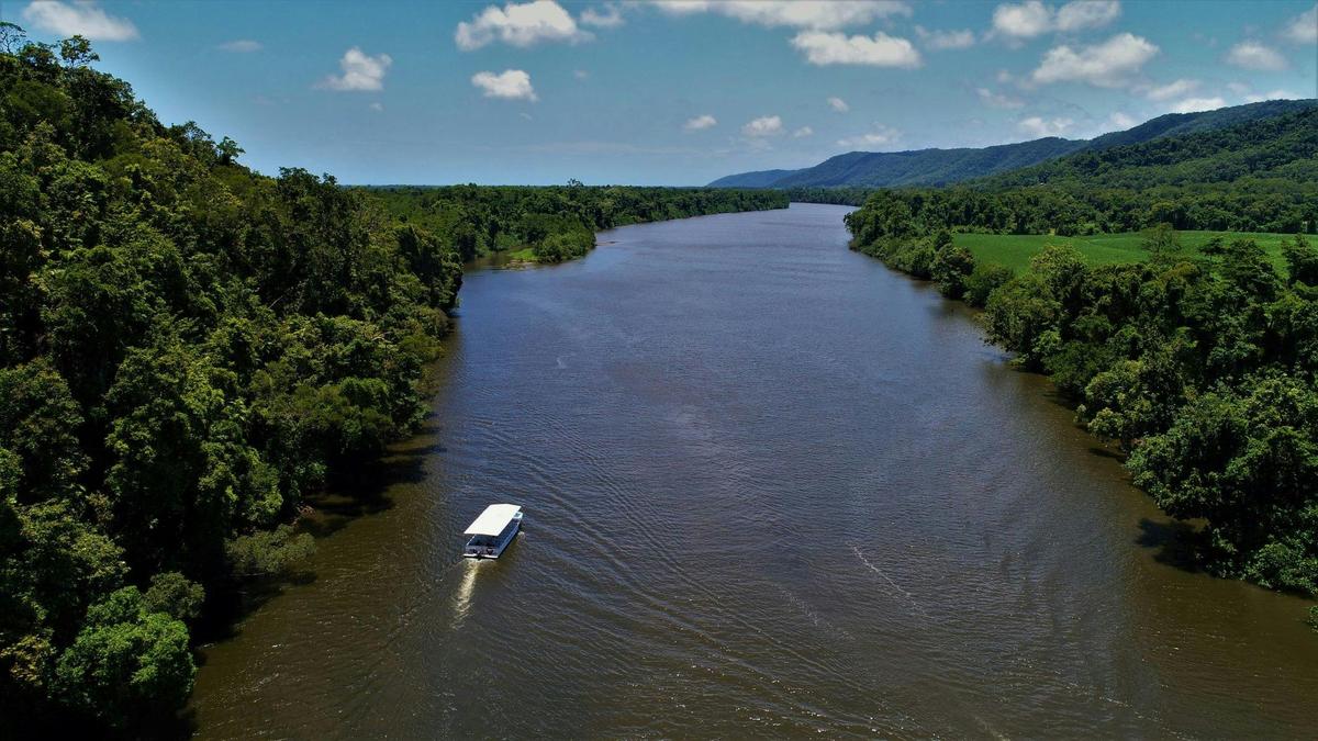 3 Day Cape Tribulation, Daintree & Outback Wanderer Small Group Tour