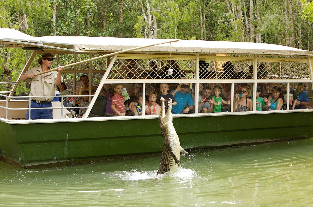 Hartleys Crocodile Adventures