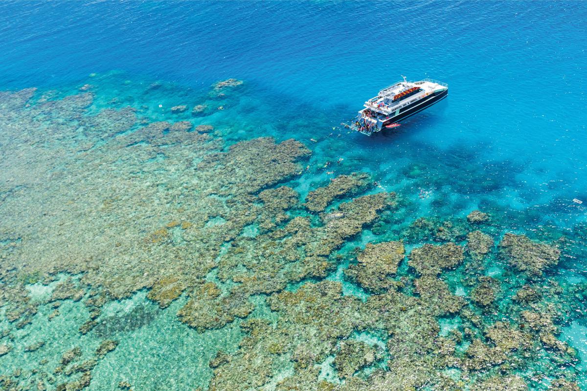 Dreamtime Dive and Snorkel