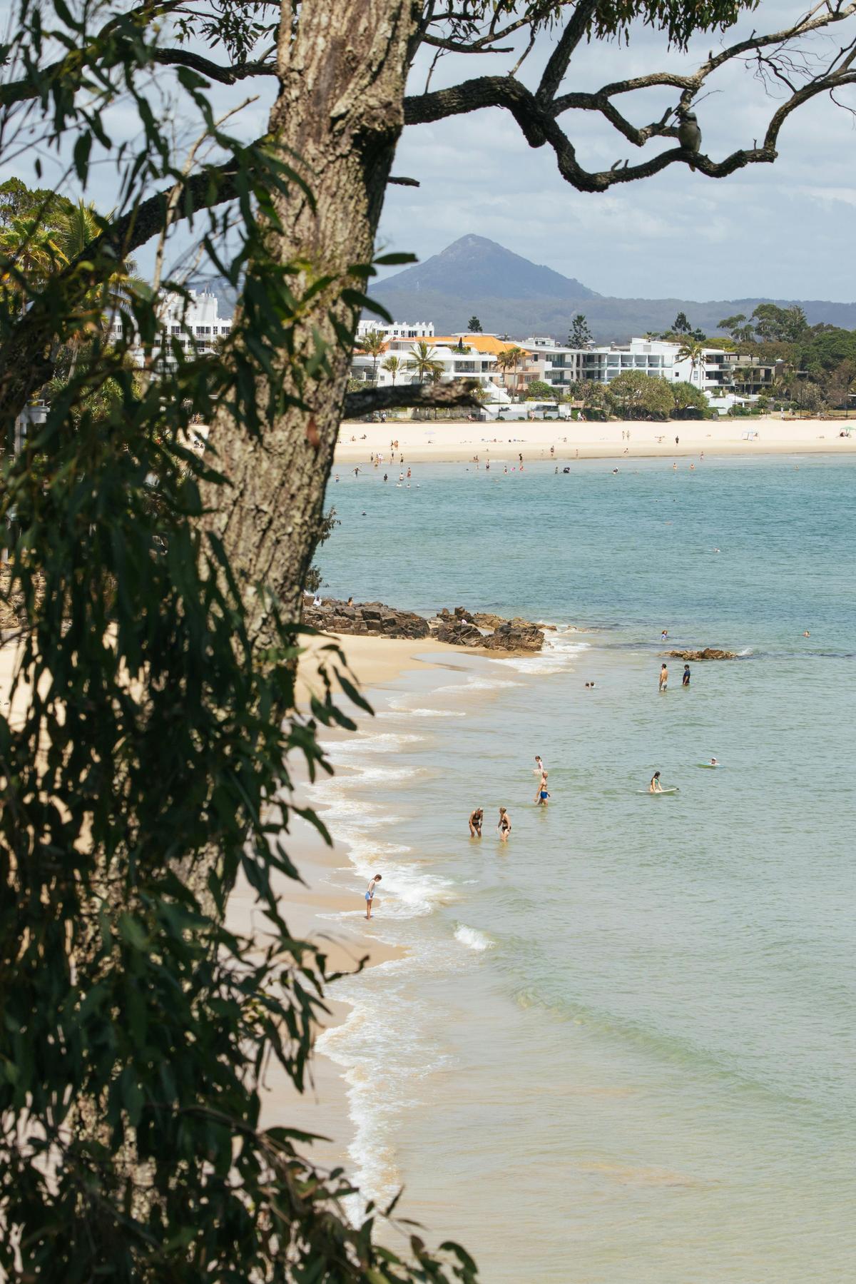 Elysium Noosa