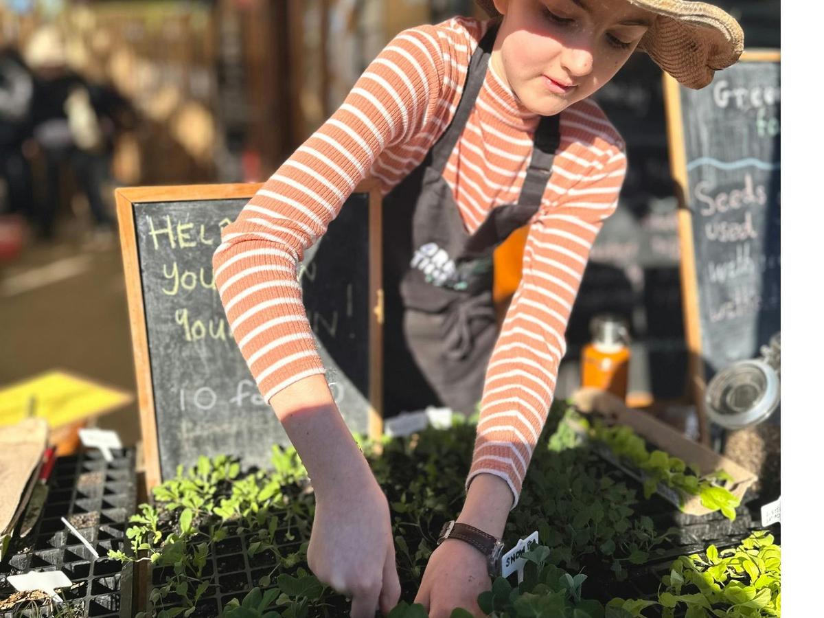 Person selling seedlings at our nursery