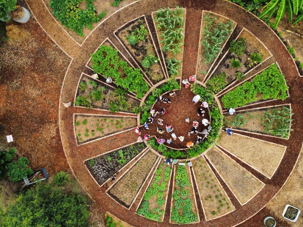 The Mandala Garden