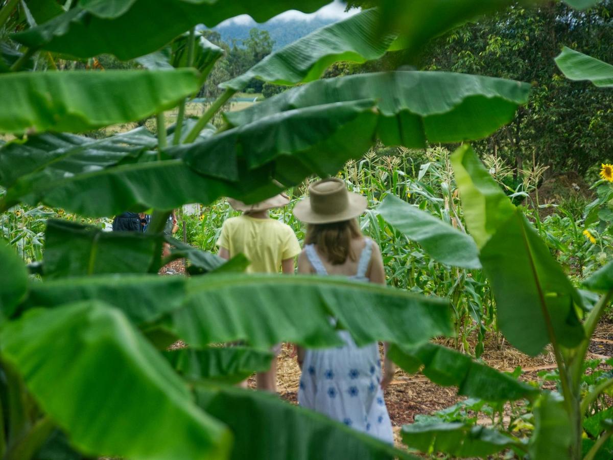 People on the Farm Walk