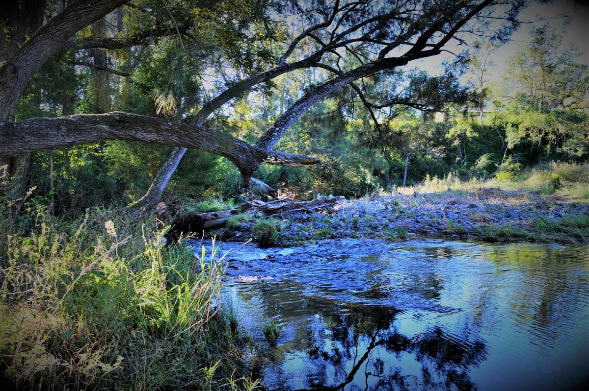 Albert River on Eighteen Mile Property