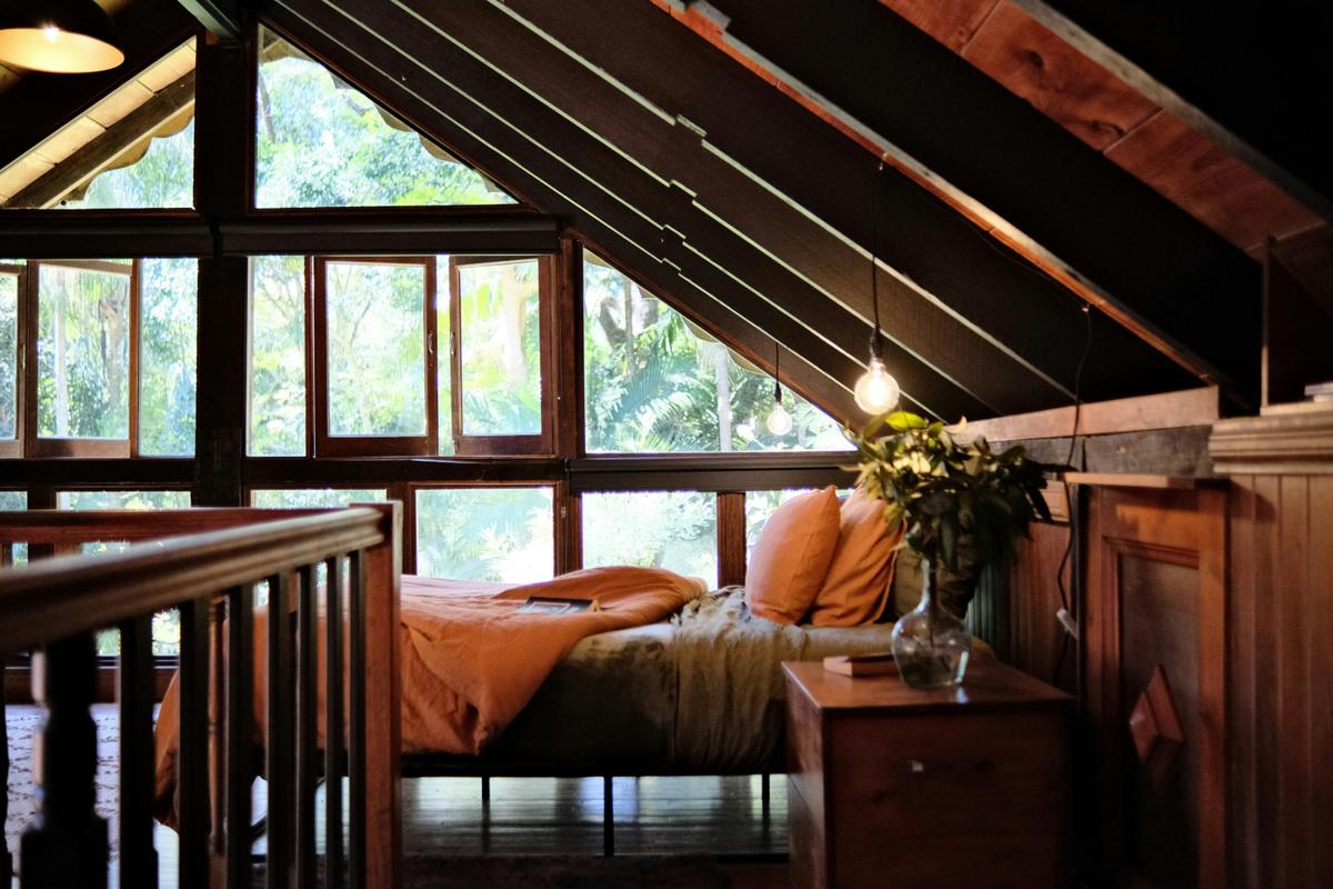 Elm House Studio Bedroom overlooking the Elm House rainforest gardens