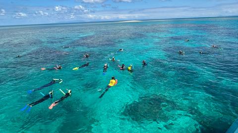 Reef & Island | Outer Great Barrier Reef & Dunk Island | Mission Beach Day Return