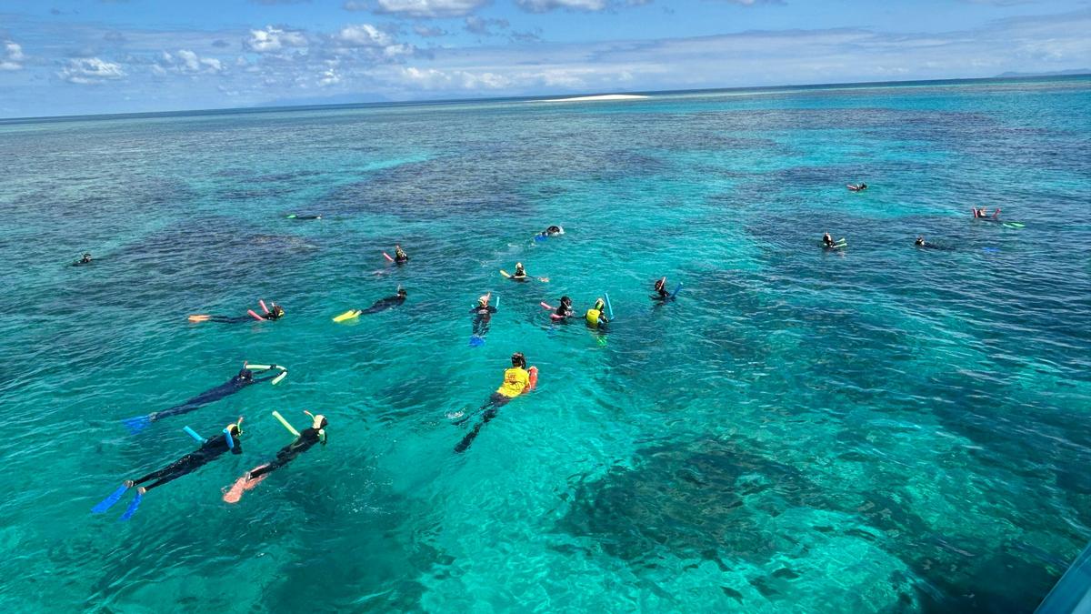 Reef & Island | Outer Great Barrier Reef & Dunk Island | Mission Beach Day Return