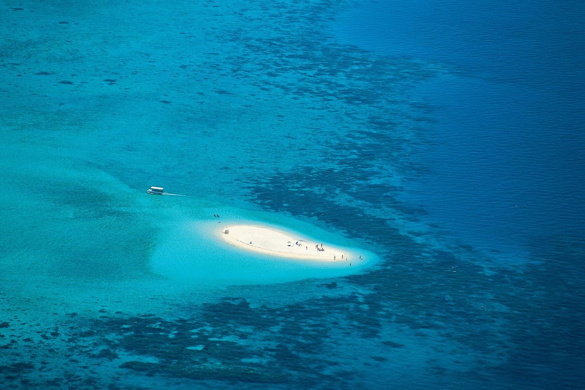 Reef & Island | Outer Great Barrier Reef & Dunk Island | Cairns Day Return