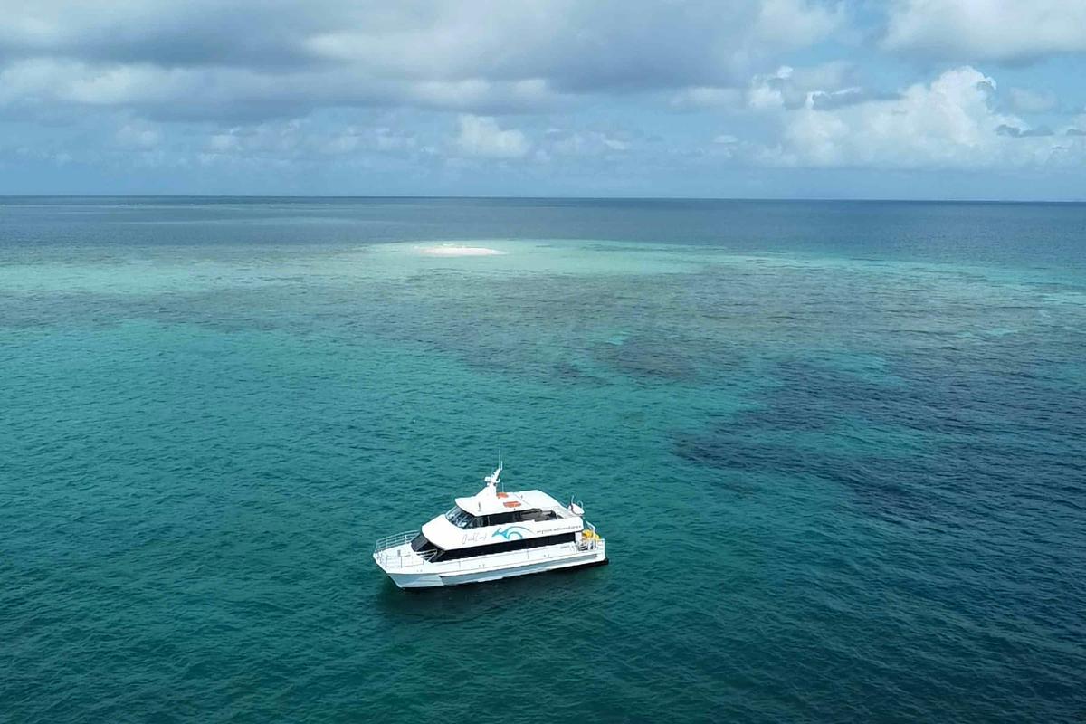 Reef & Island | Outer Great Barrier Reef & Dunk Island | Cairns Day Return