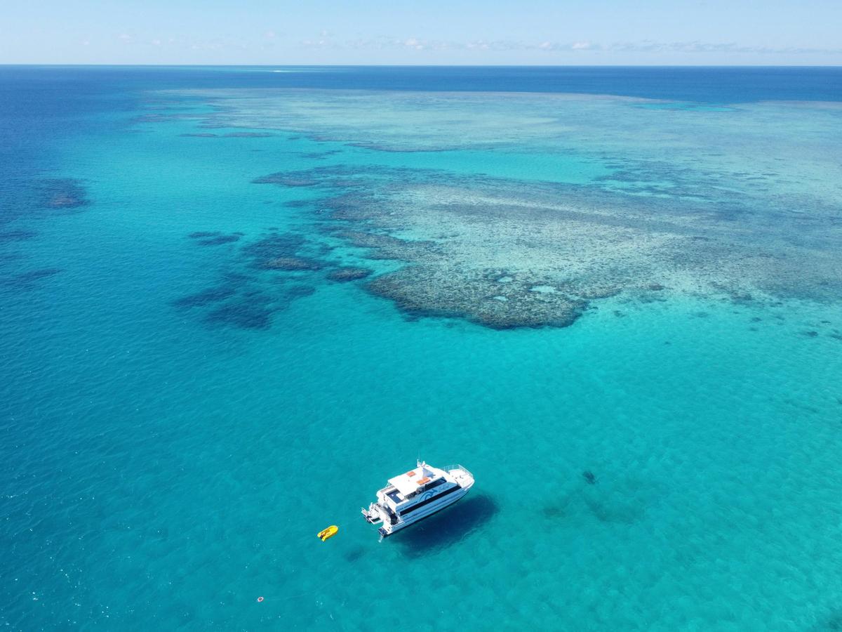 Reef & Island | Outer Great Barrier Reef & Dunk Island | Mission Beach Day Return