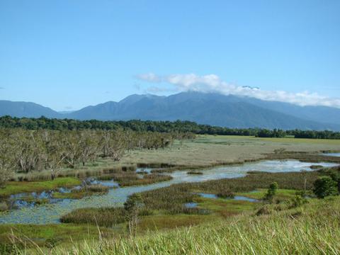 Eubenangee Swamp National Park
