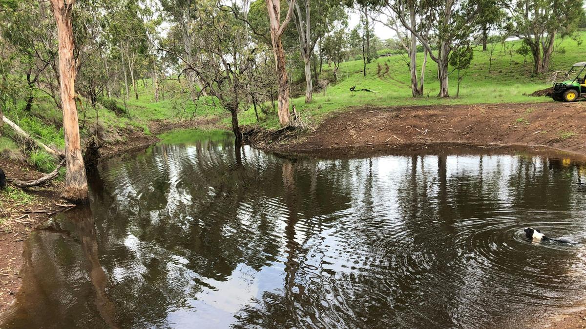 Empty Pockets creek-side Farm Stay