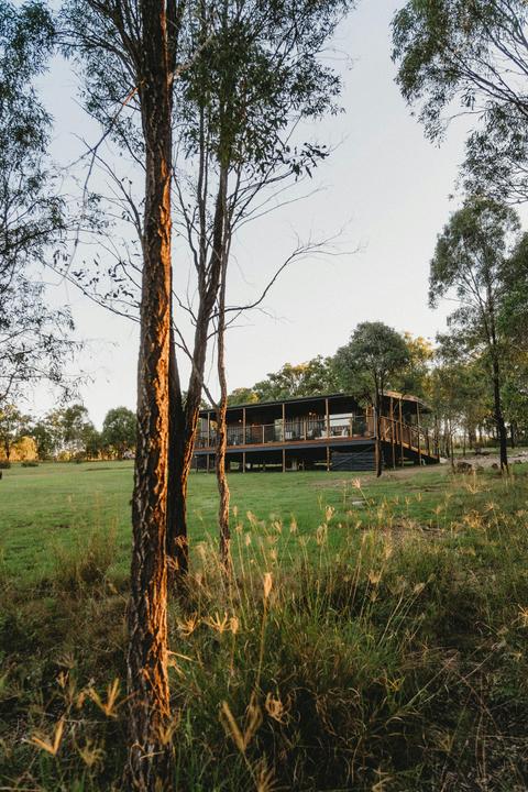 Fox Hill Grove