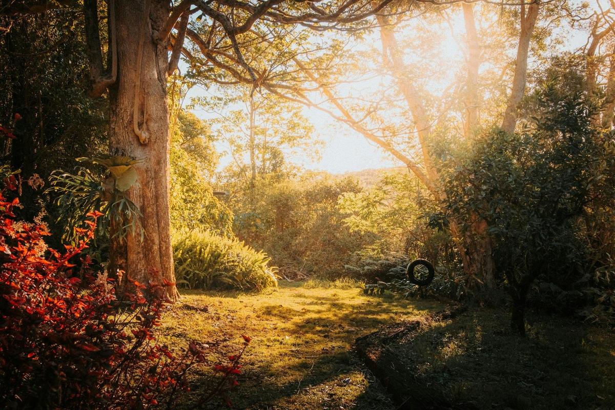 Beautiful Gardens