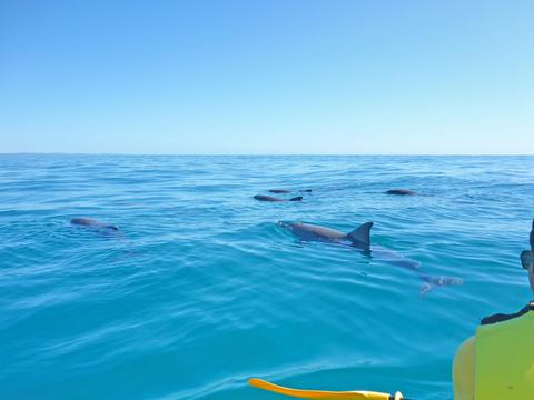 Noosa Private Double Island Point Wildlife 4X4 Adventure