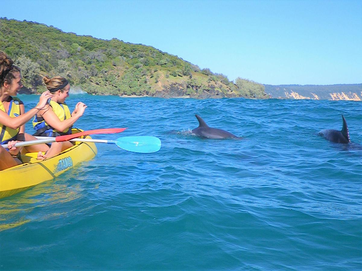 Noosa Private Double Island Point Wildlife 4X4 Adventure