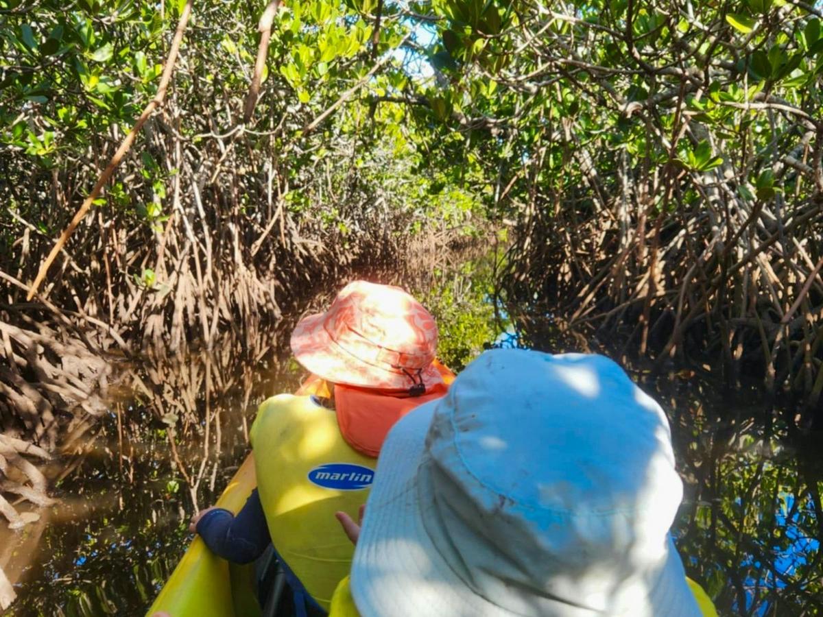 Noosa's Hidden Waterways & Wildlife Tour