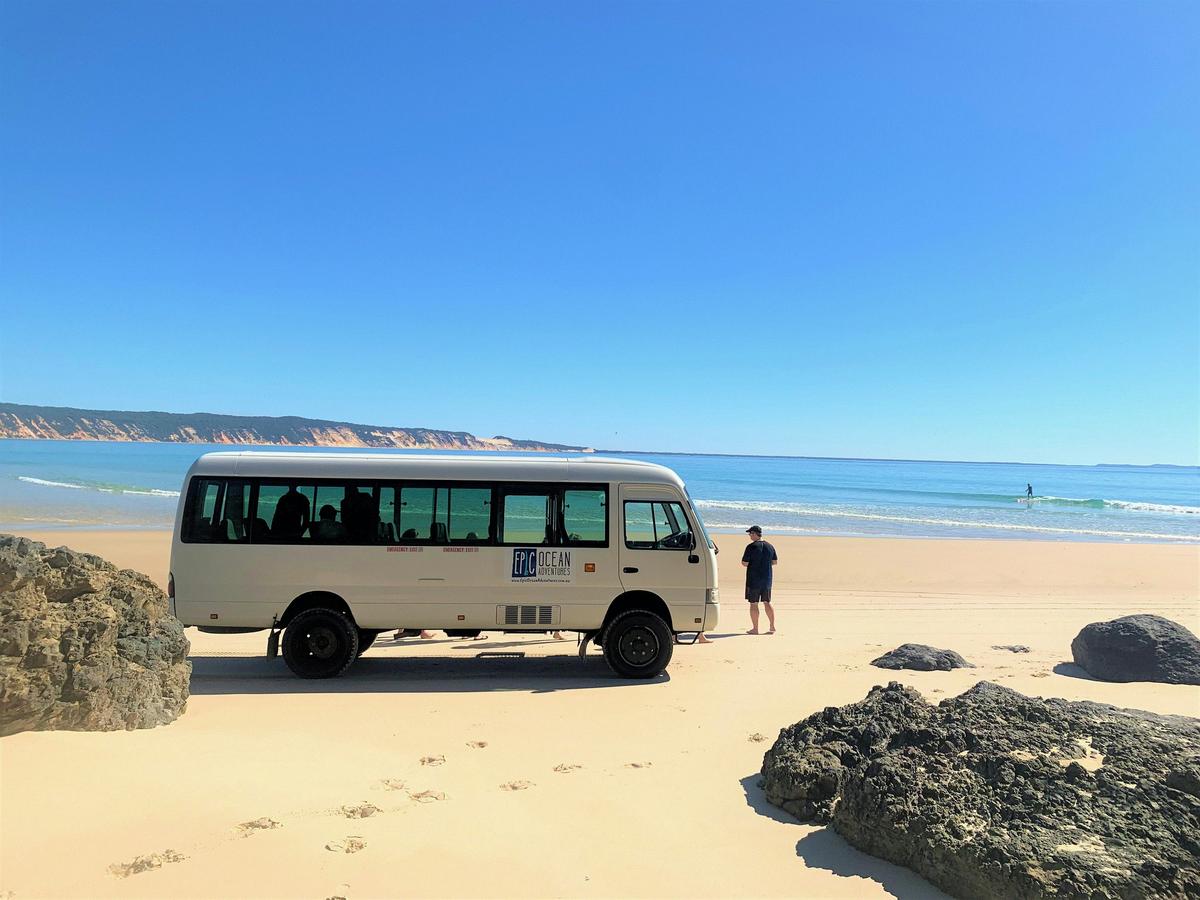 Noosa Dolphin Sea Kayak Tour & 4X4 Beach Adventure