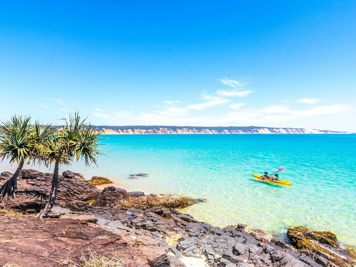 Stand Up Paddle Wildlife & Beach 4X4 Day Trip - Noosa