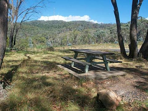 Mount Canobolas State Conservation Area