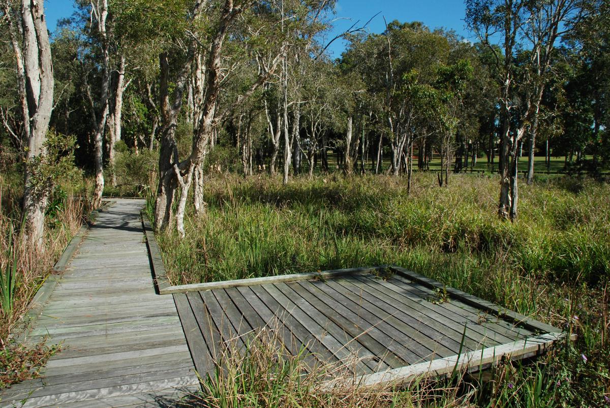 Fay Smith Wetlands boardwalk