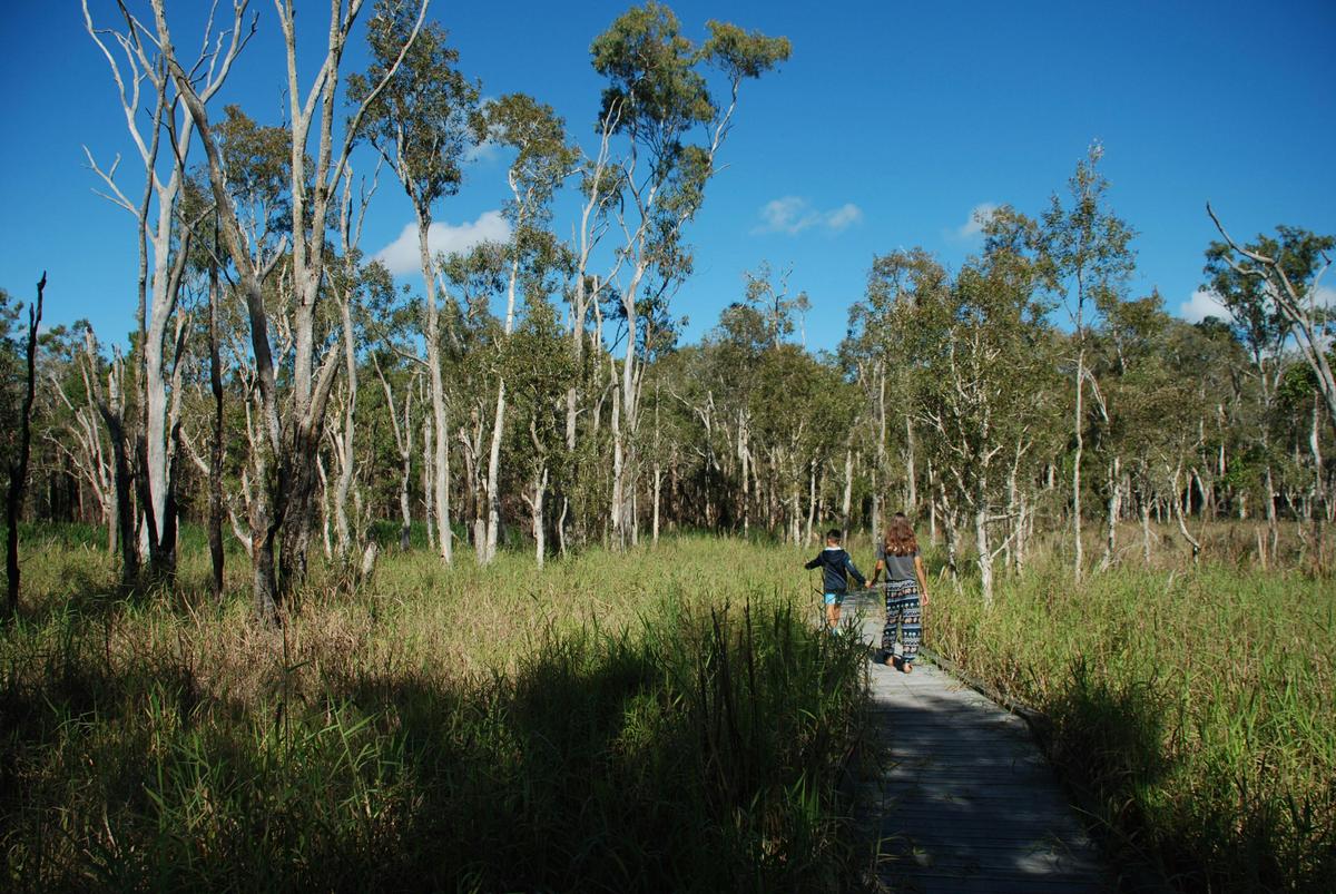 Fay Smith Wetland boardwalk