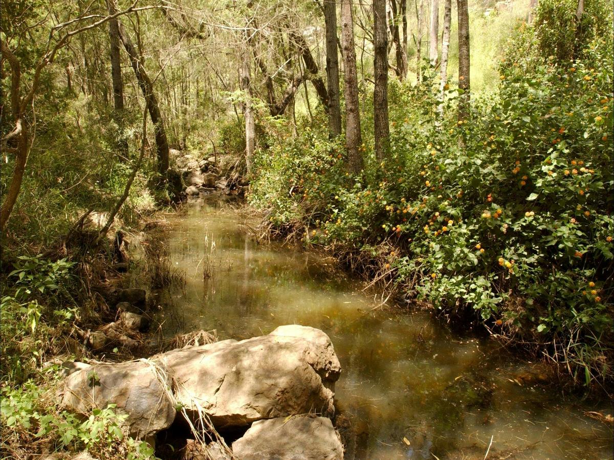 Flinders-Goolman Conservation Estate
