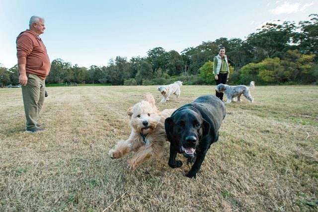 Moore Reserve
