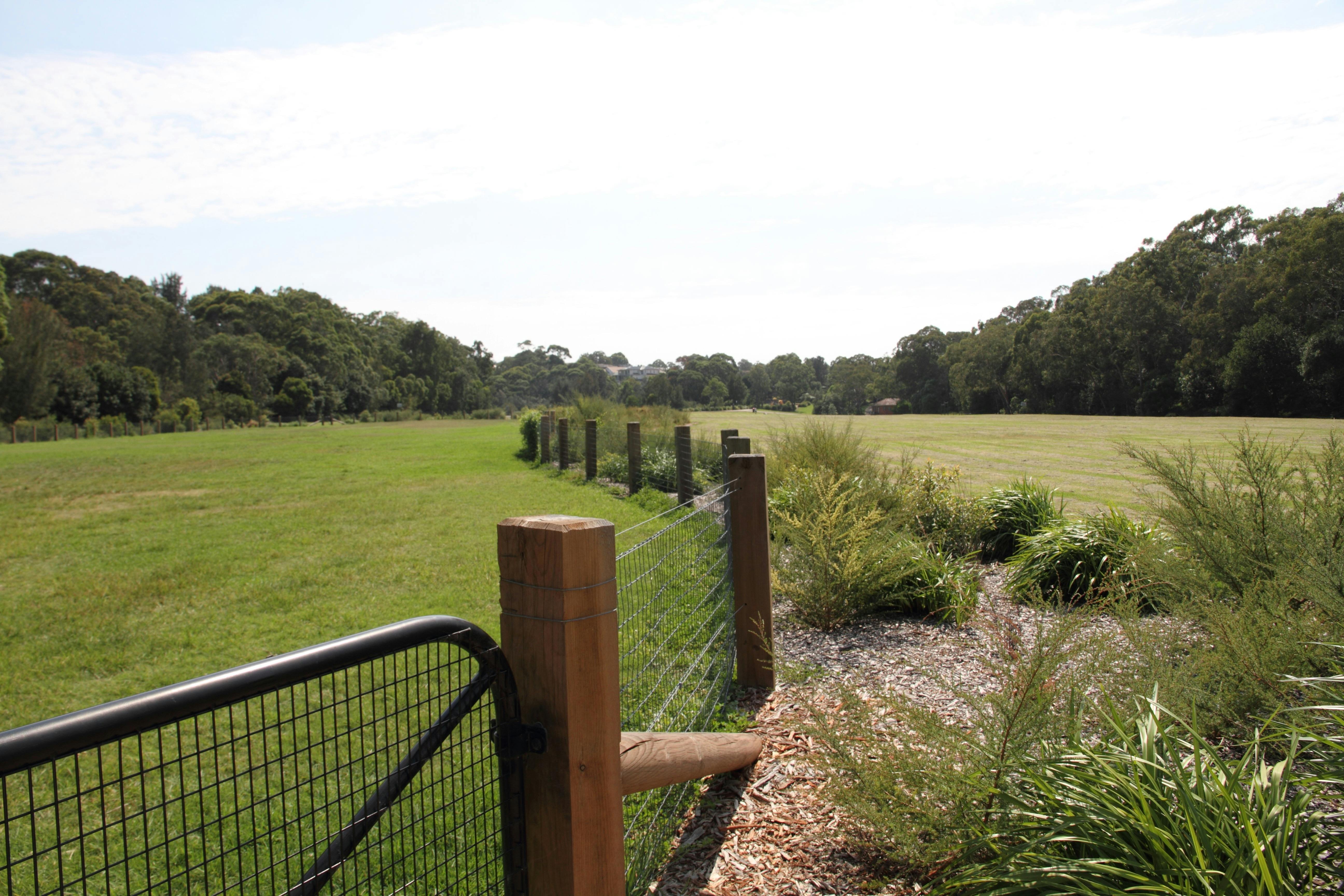 Two leash free dog areas