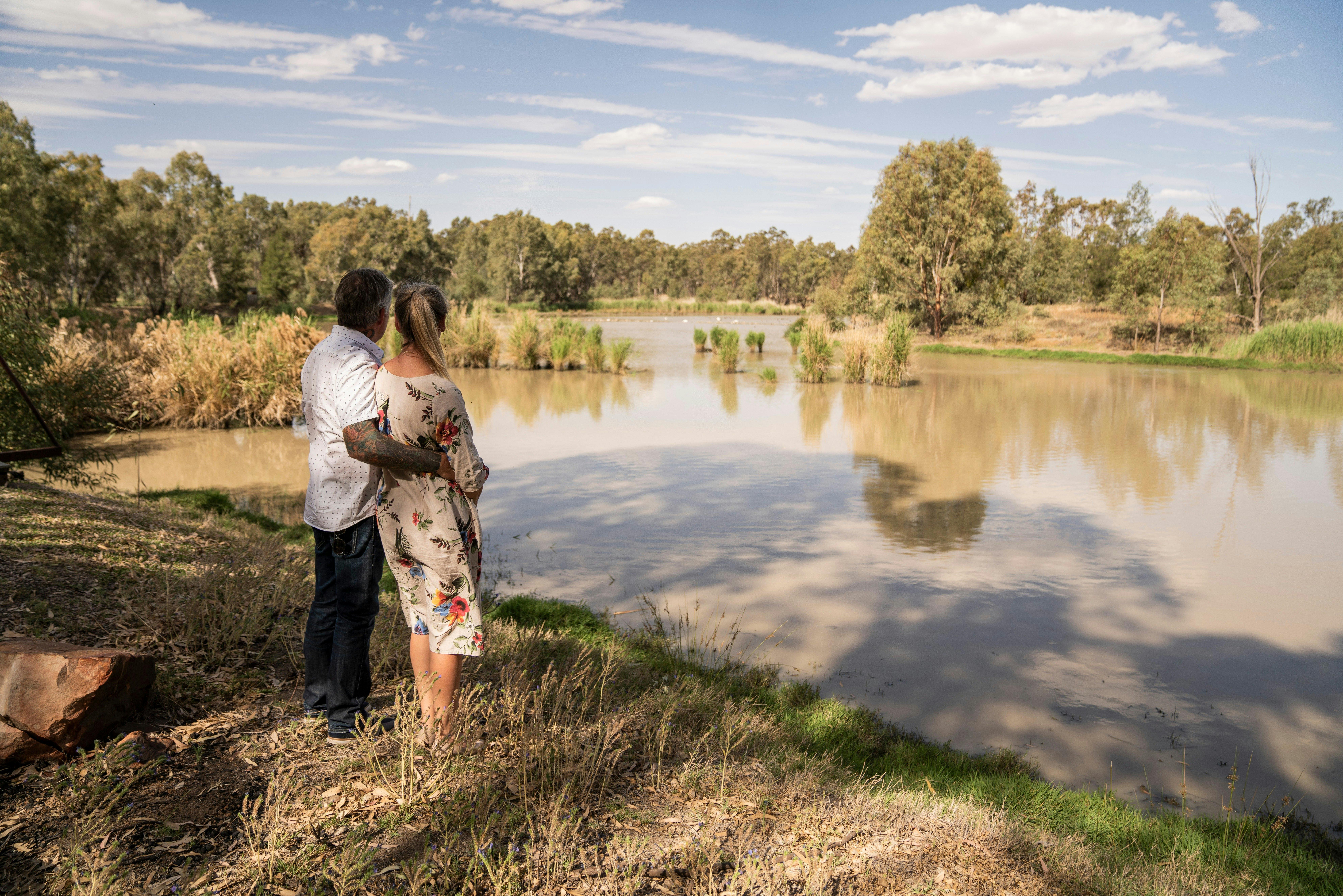 Walking track around the wetland area with a number of vantage points