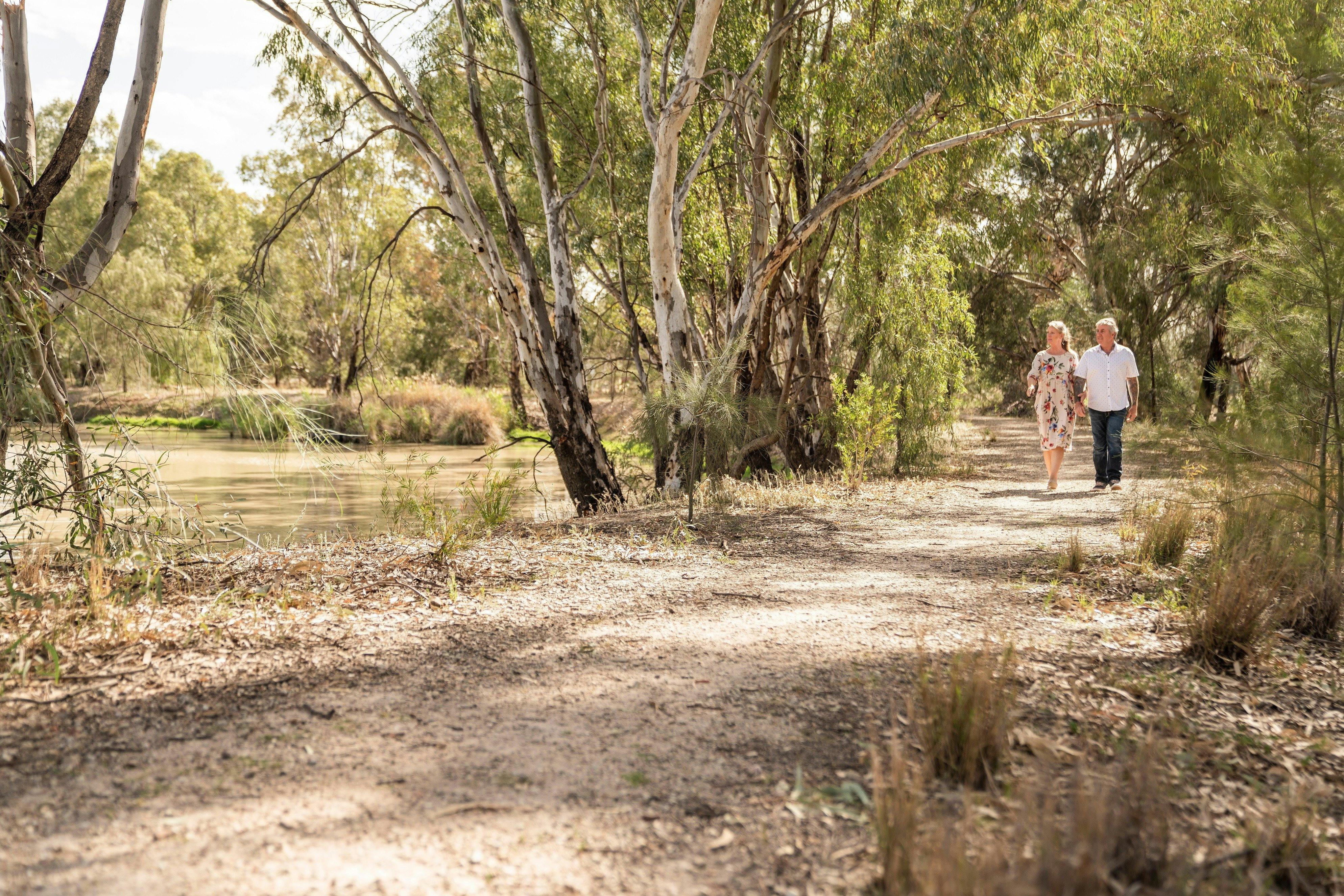 Walking track around the wetland area with a number of vantage points