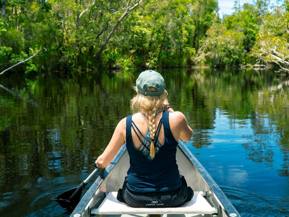 Everglades Explorer