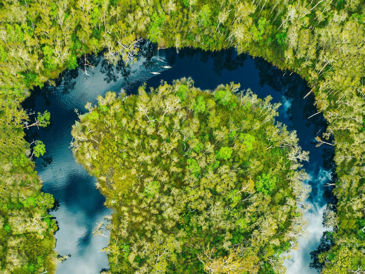 Everglades Serenity Cruise