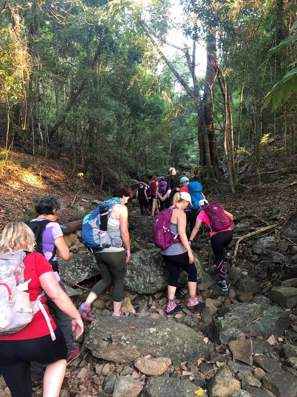Women walking on Wild Brisbane, Mt Coot tha