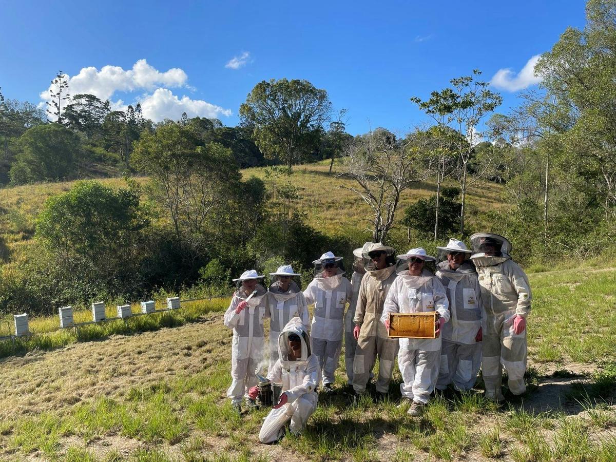 Noosa Hinterland Escape