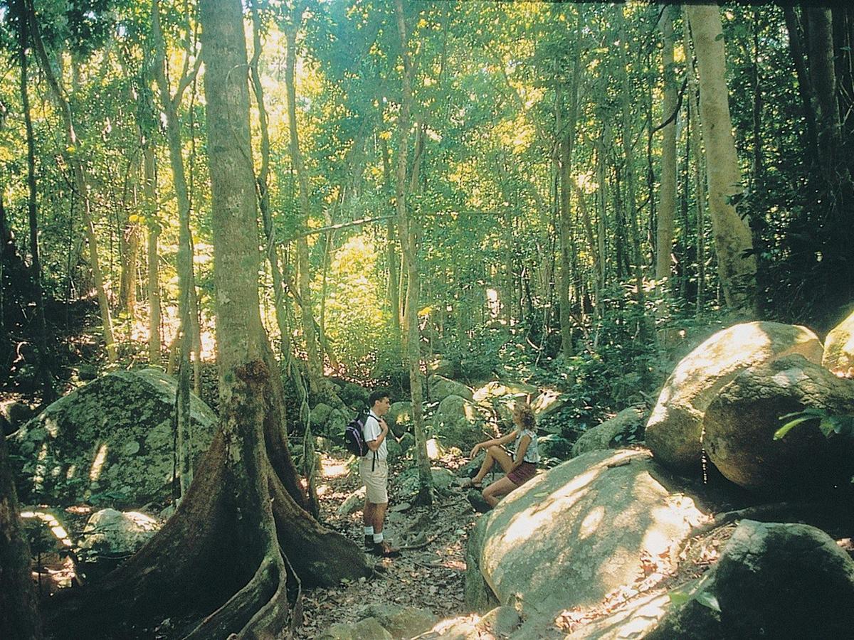 Fitzroy Island Full Day Transfers