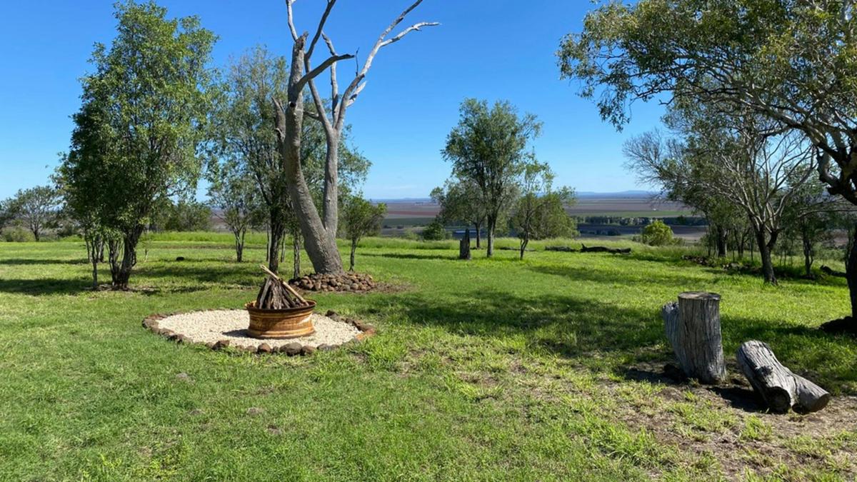 FigTree, Irongate