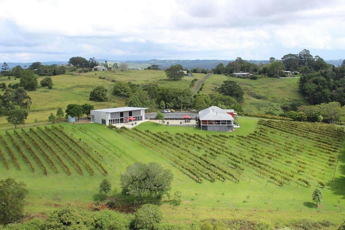 Montville Vineyard
