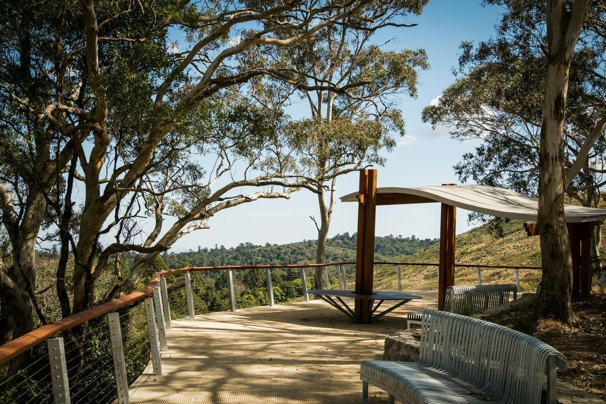 Bunya Mountains Fisher's Lookout