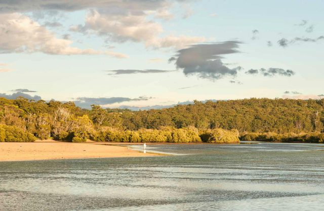 Narrawallee Inlet Walking Track