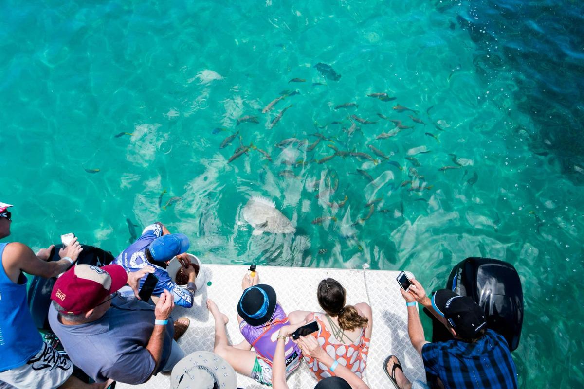 Great Keppel Island Coral Lunch Tour