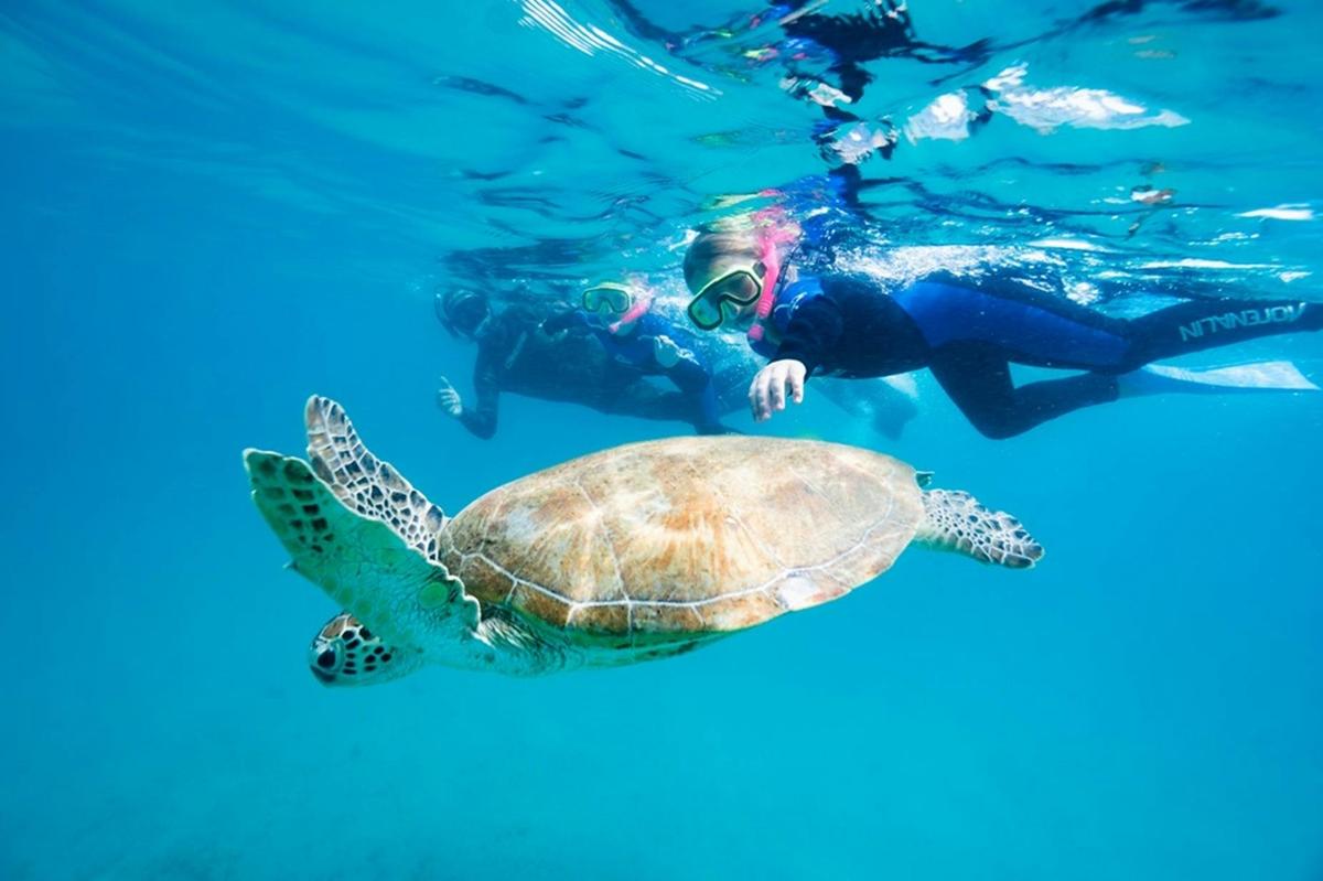 Great Keppel Island Combo Cruise