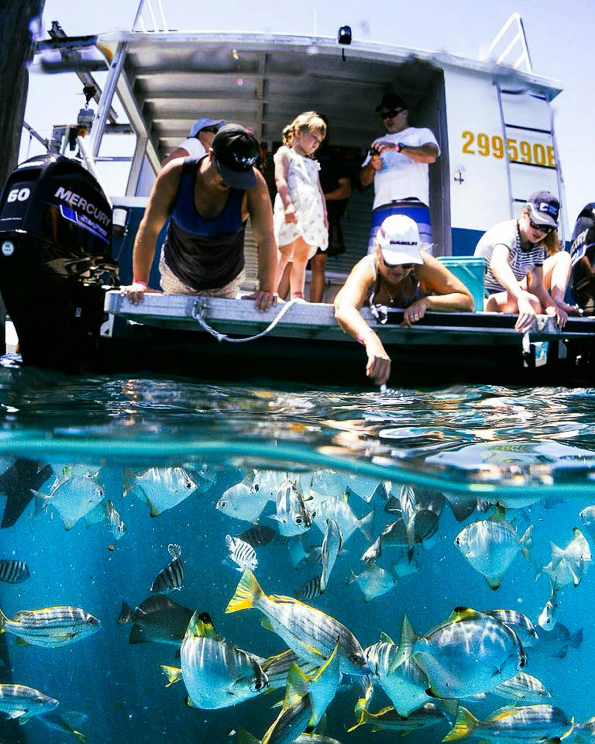 Great Keppel Island Glass Bottom Boat Cruise