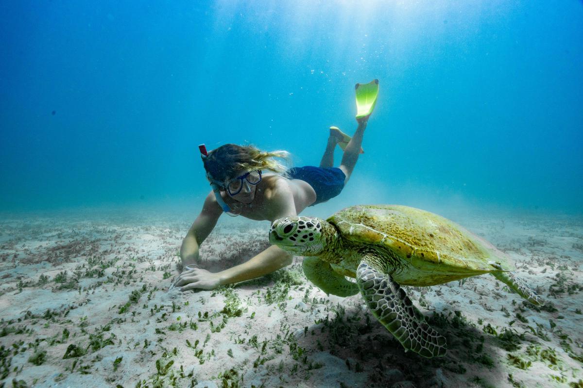 Come swim with the locals with Freedom Fast Cats on the Adventure Cruise or Monday's Combo Cruise.