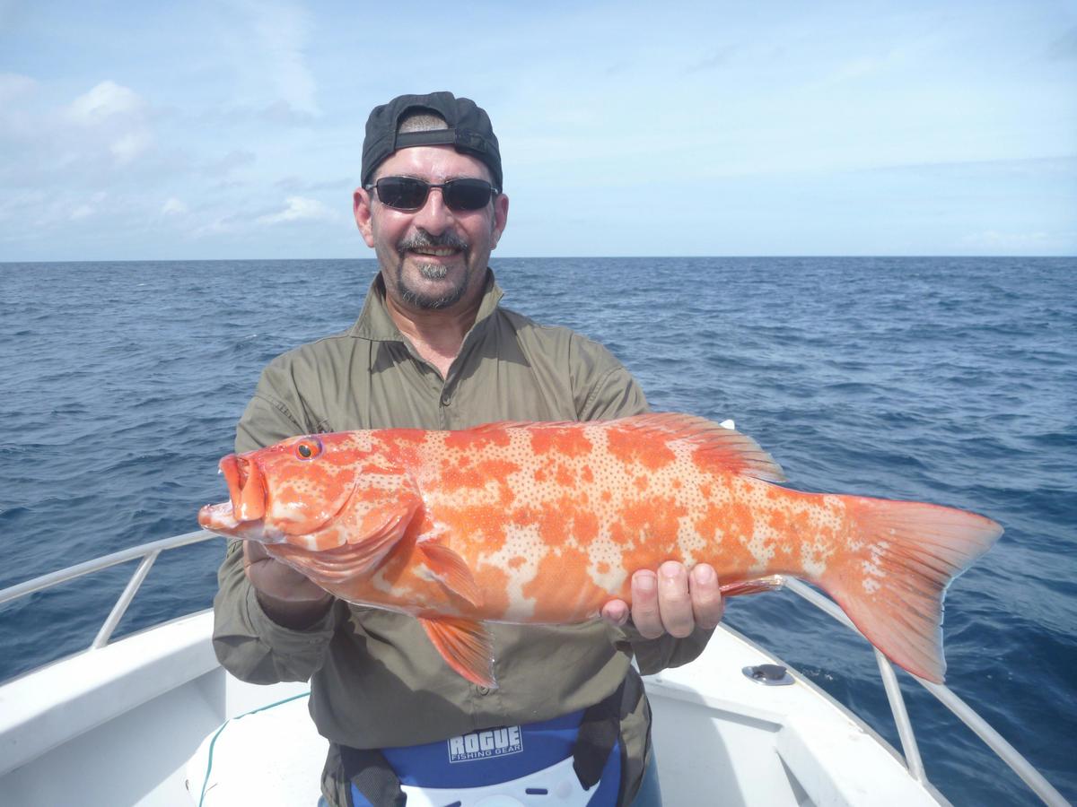 Reef fishing on the Great Barrier Reef