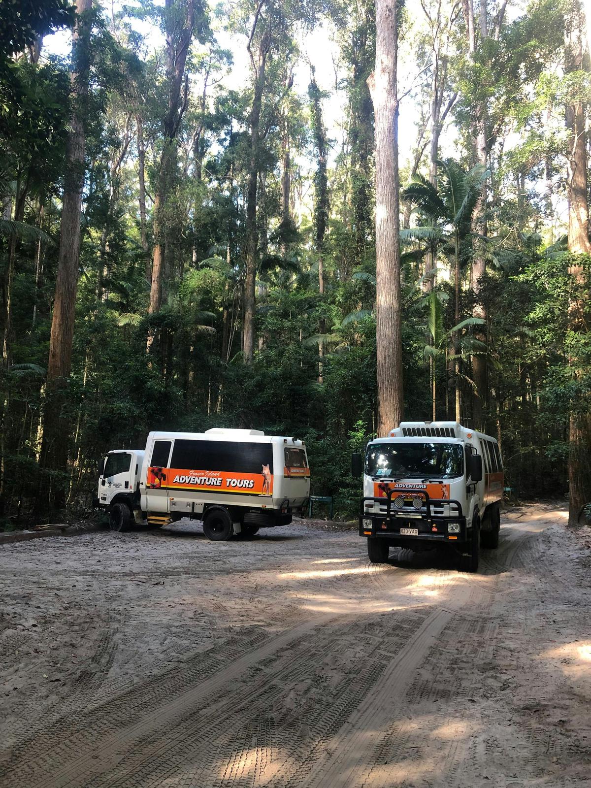 Fraser Island Nature Tours